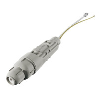 Mikrotik GESP New Mikrotik GESP New