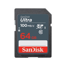 SANDISK SDSDUNR-064G-GN3IN