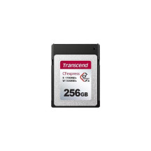 TRANSCEND TS256GCFE820 TRANSCEND TS256GCFE820